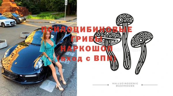 амфетамин Белокуриха
